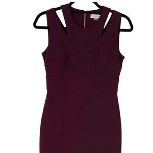 Calvin Klein Burgundy Shift Dress with Cutouts - Size 2
